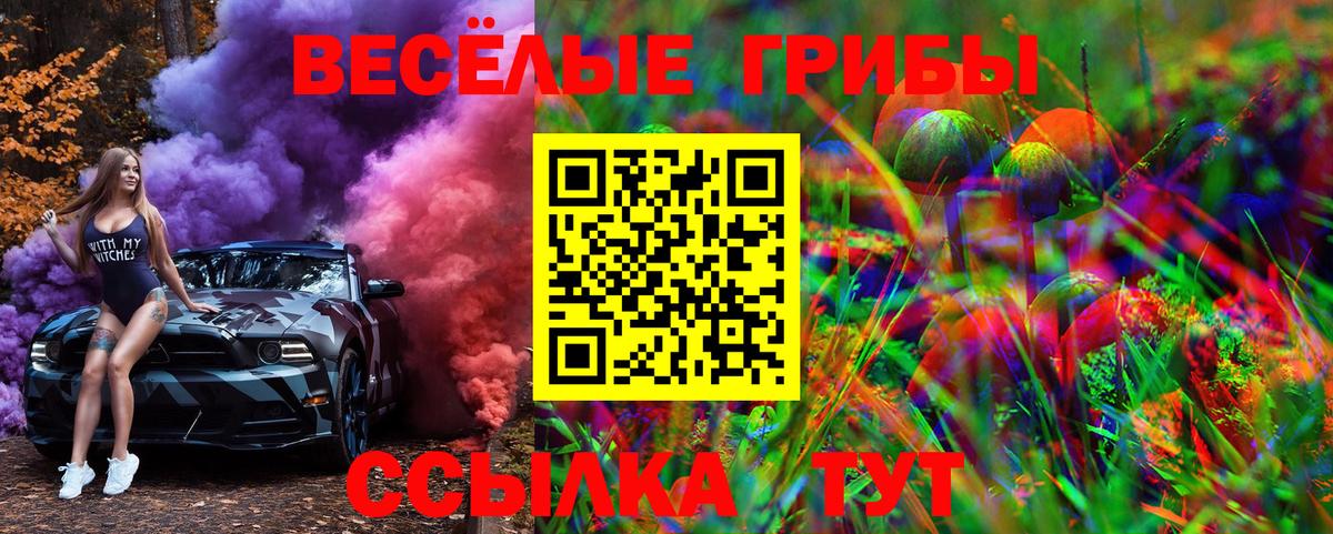 Галлюциногенные грибы Psilocybe Михайловка