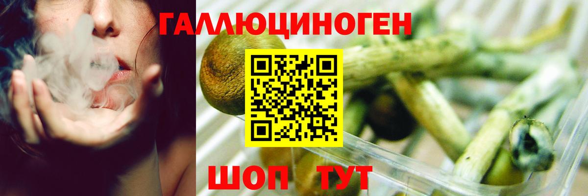 Галлюциногенные грибы Psilocybine cubensis  купить наркотик  Михайловка  Вход с VPN 